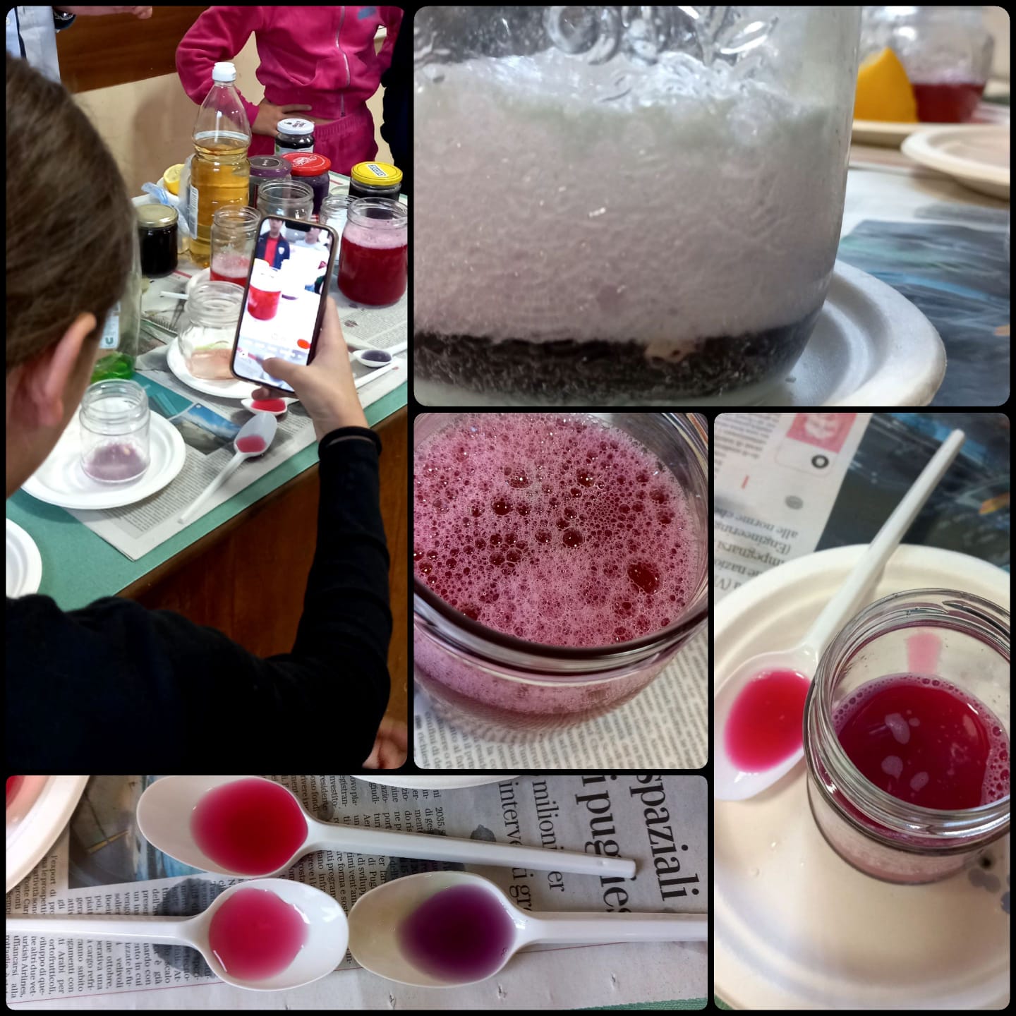 Laboratorio Scientifico in lingua inglese - Seconda Media